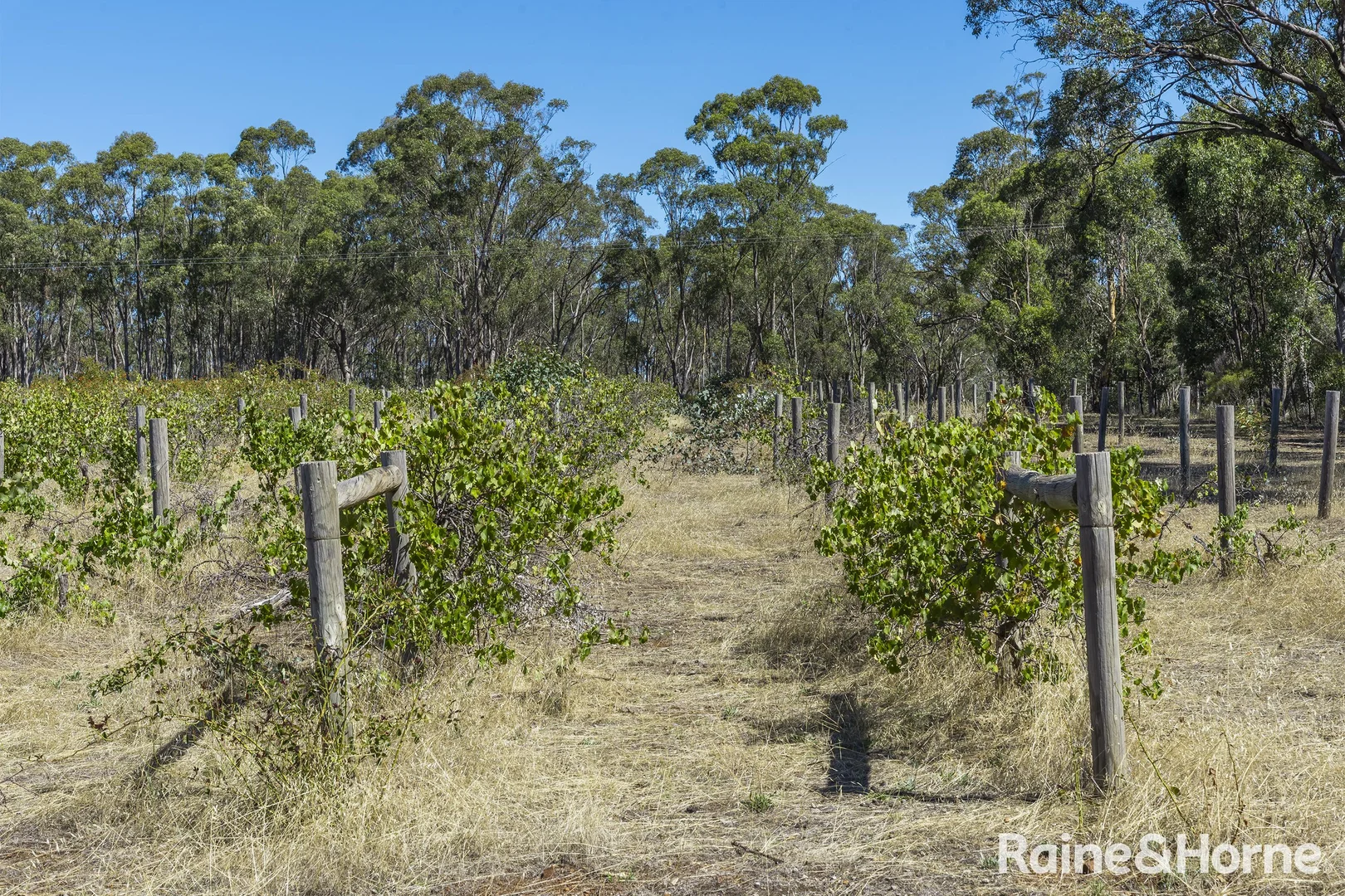 Additional image 29 of 1000 Northern Highway, Ladys Pass VIC 3523