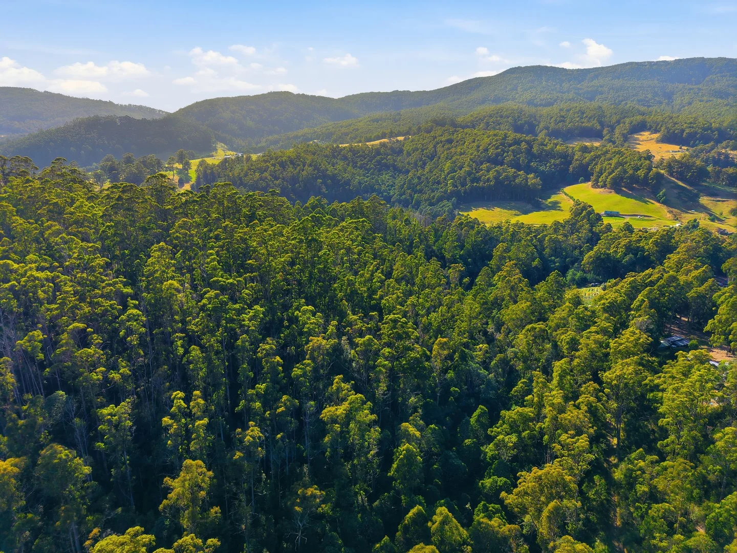 Additional image 6 of 111 Underwoods Road, Nicholls Rivulet TAS 7112