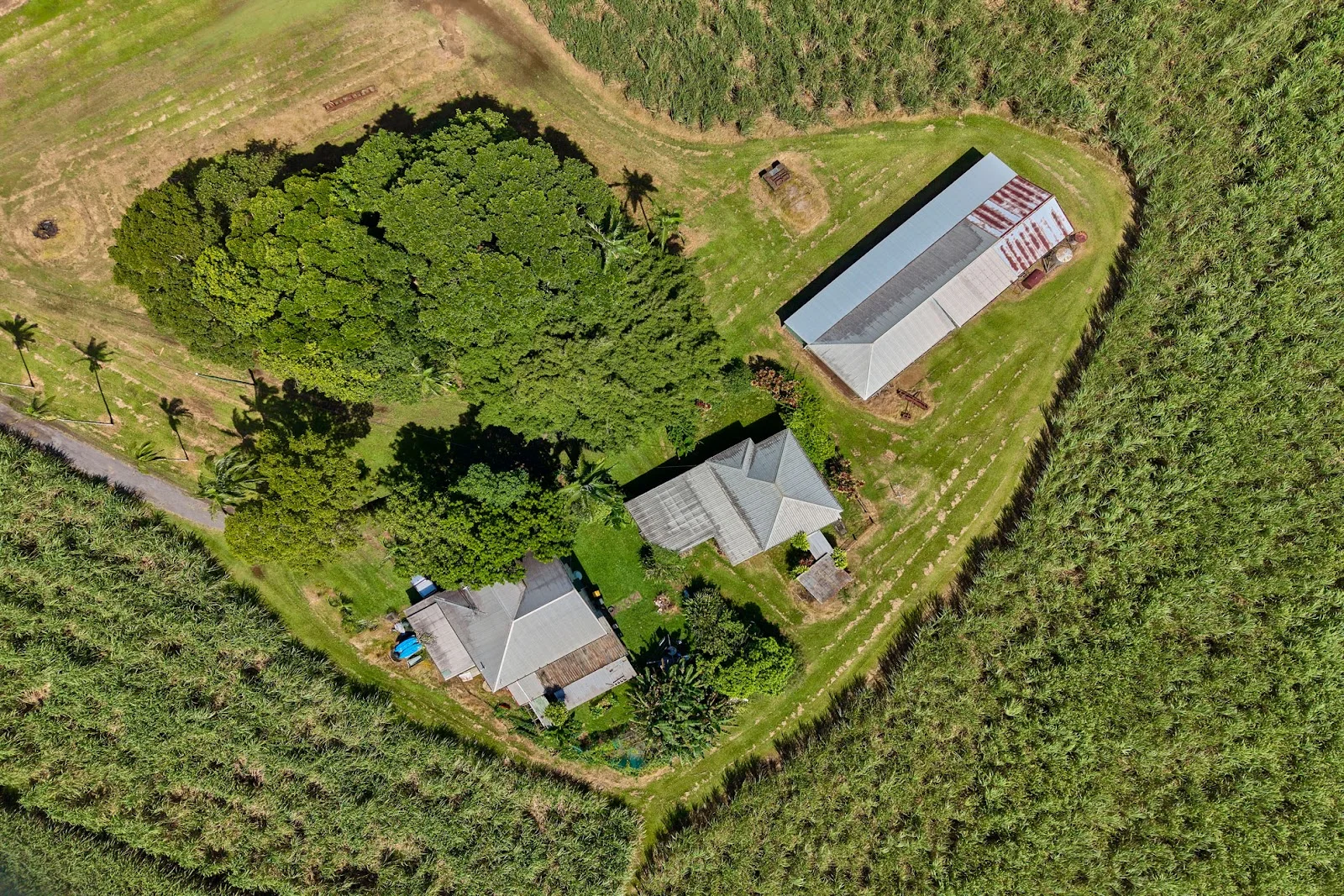 229 Russell Road, Gordonvale QLD 4865 photo 2