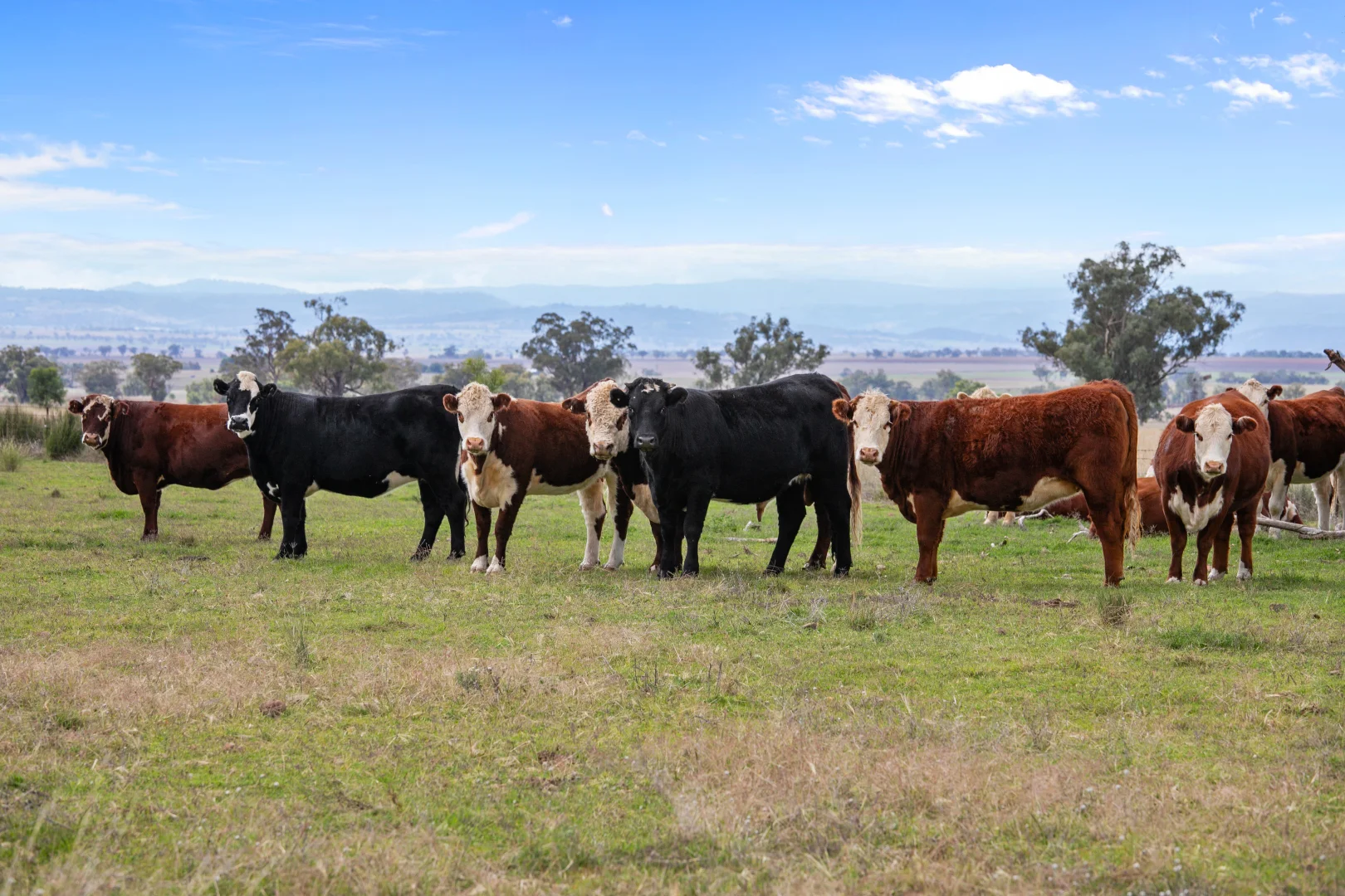 Additional image 8 of "Elstern" 1872 Old Winton Road, Tamworth NSW 2340