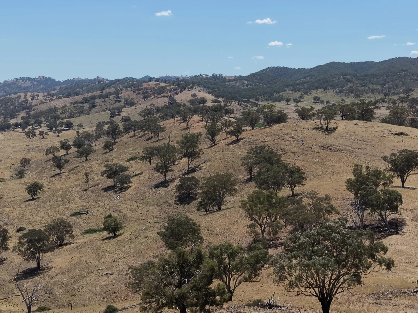 Additional image 21 of Part 2336 Crudine Road, Crudine NSW 2795