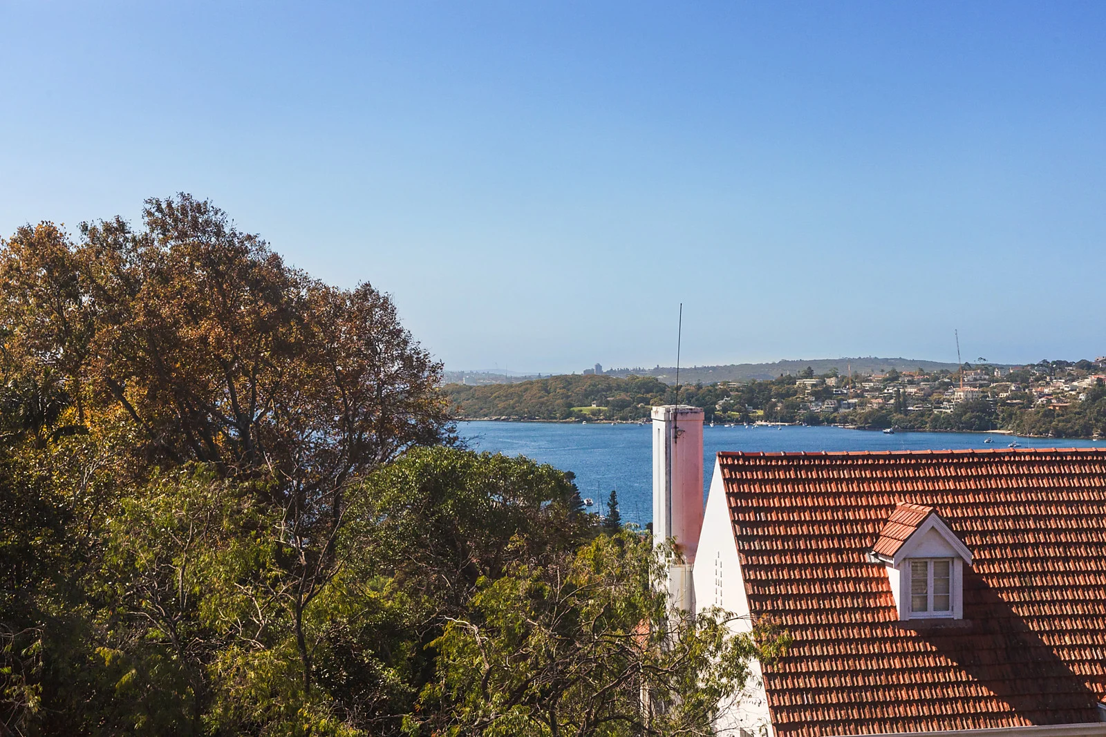 Additional image 23 of 6/27 Drumalbyn Road, Bellevue Hill NSW 2023