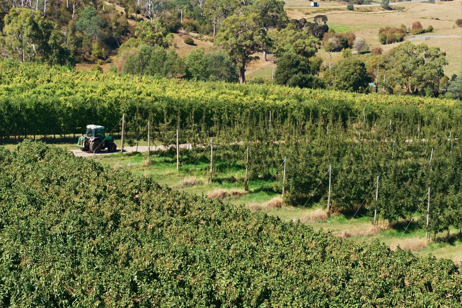 Additional image 22 of 161 John Lees Drive, Dilston TAS 7252