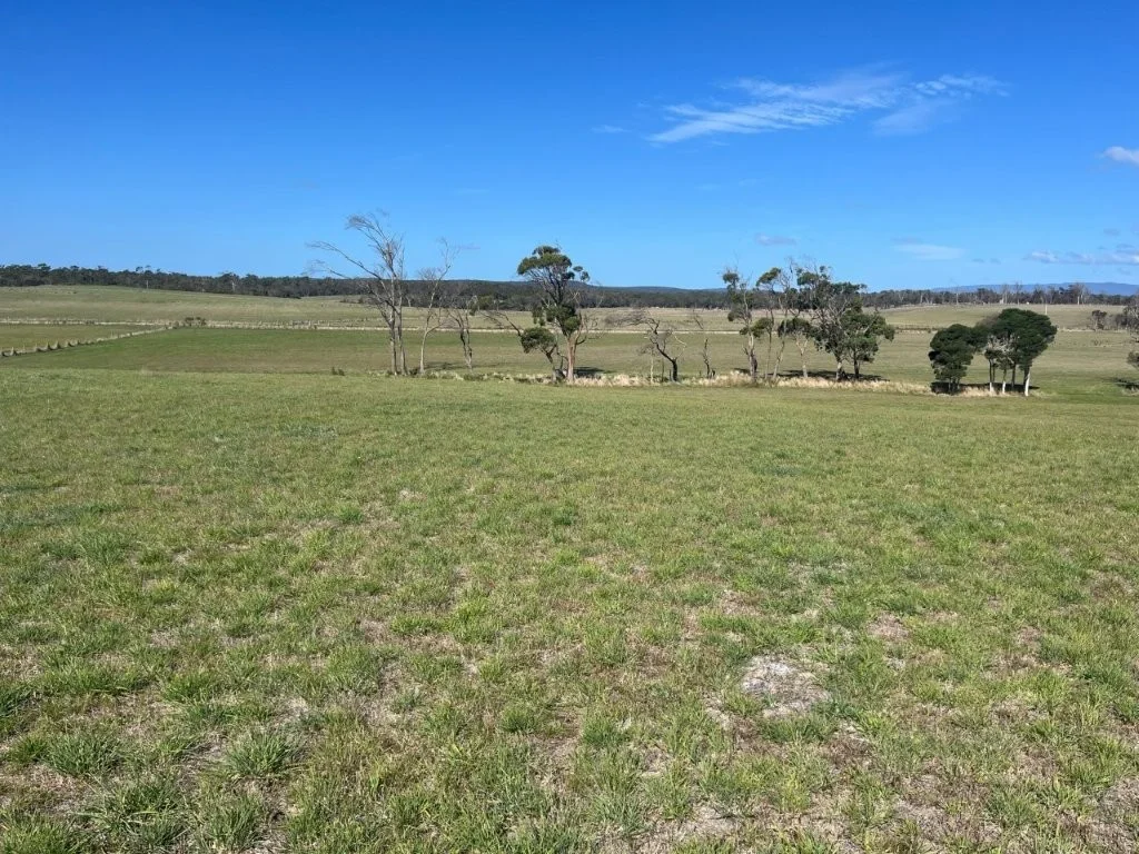 Additional image 4 of 559 North Ansons Road, Gladstone TAS 7264