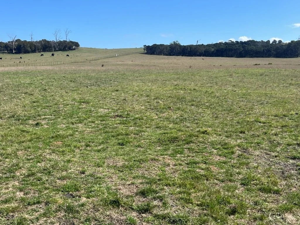 Additional image 15 of 559 North Ansons Road, Gladstone TAS 7264