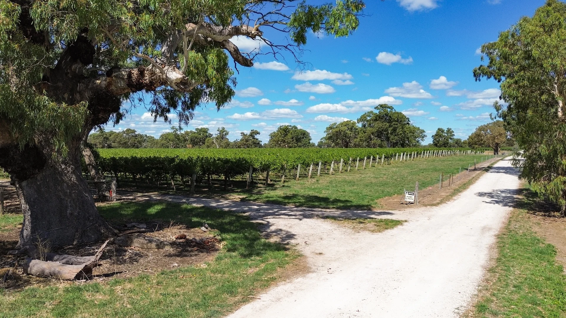 Additional image 14 of V&A Lane, Coonawarra SA 5263