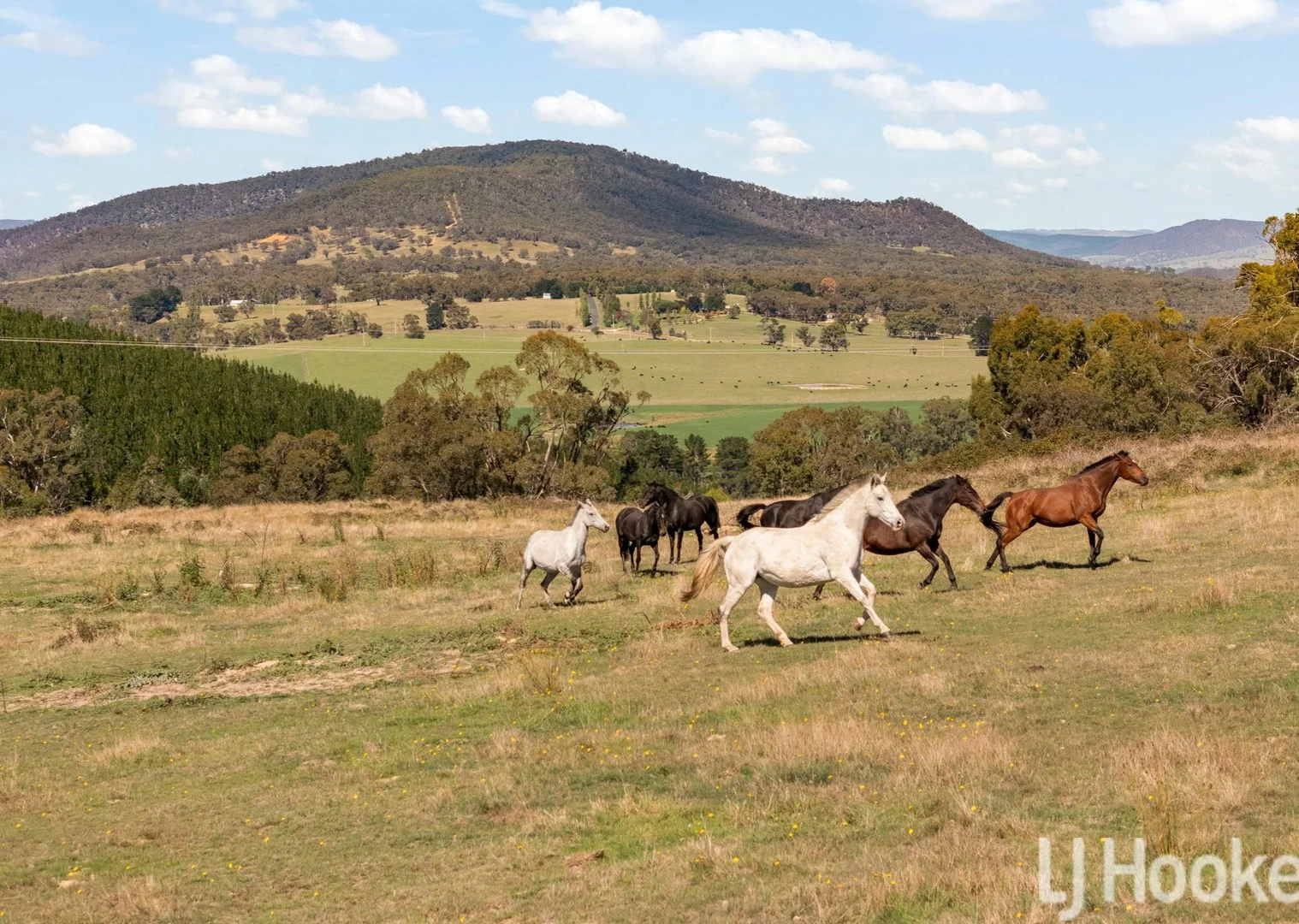 Meadow Flat NSW 2795