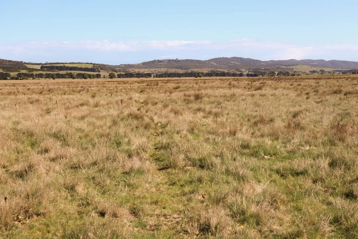 Additional image 5 of 1790 Braidwood Road, Tarago NSW 2580