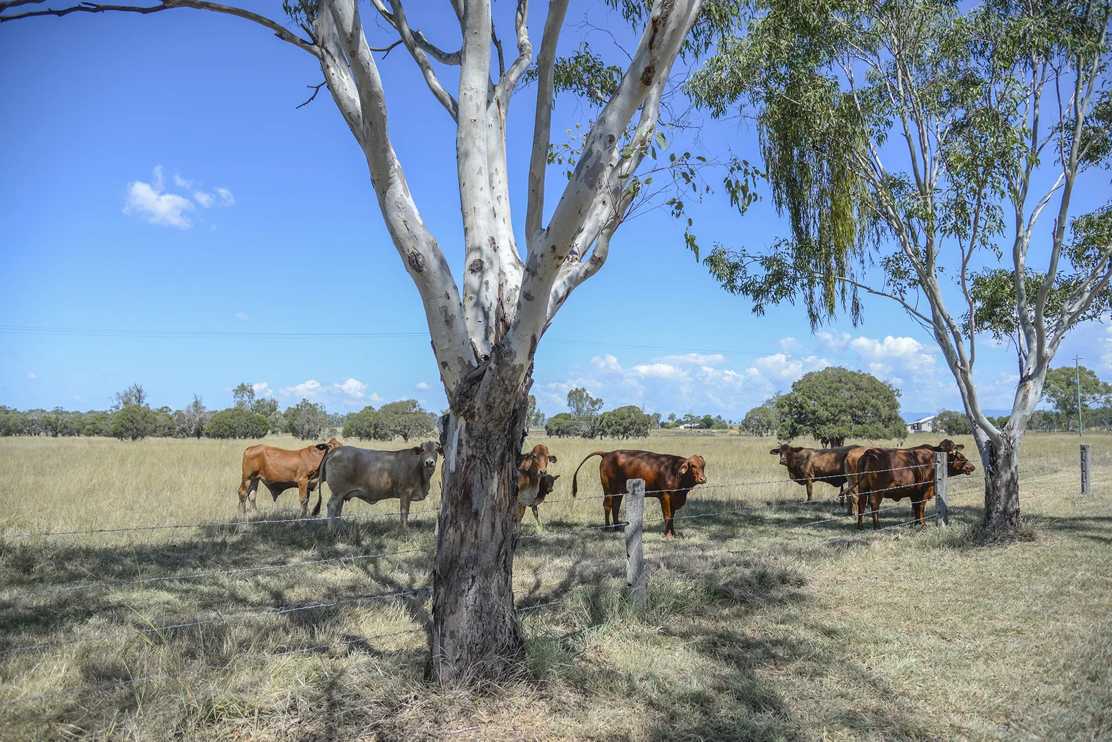 Additional image 5 of 480-510 Rosewood-Warrill View Road, Rosewood QLD 4340