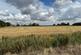Additional image 4 of Northborough Road, Milking Nook, Peterborough