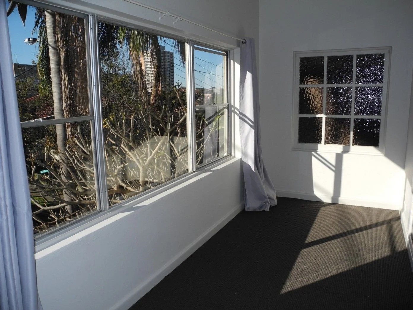 7 Albert St, Randwick NSW 2031 photo 2