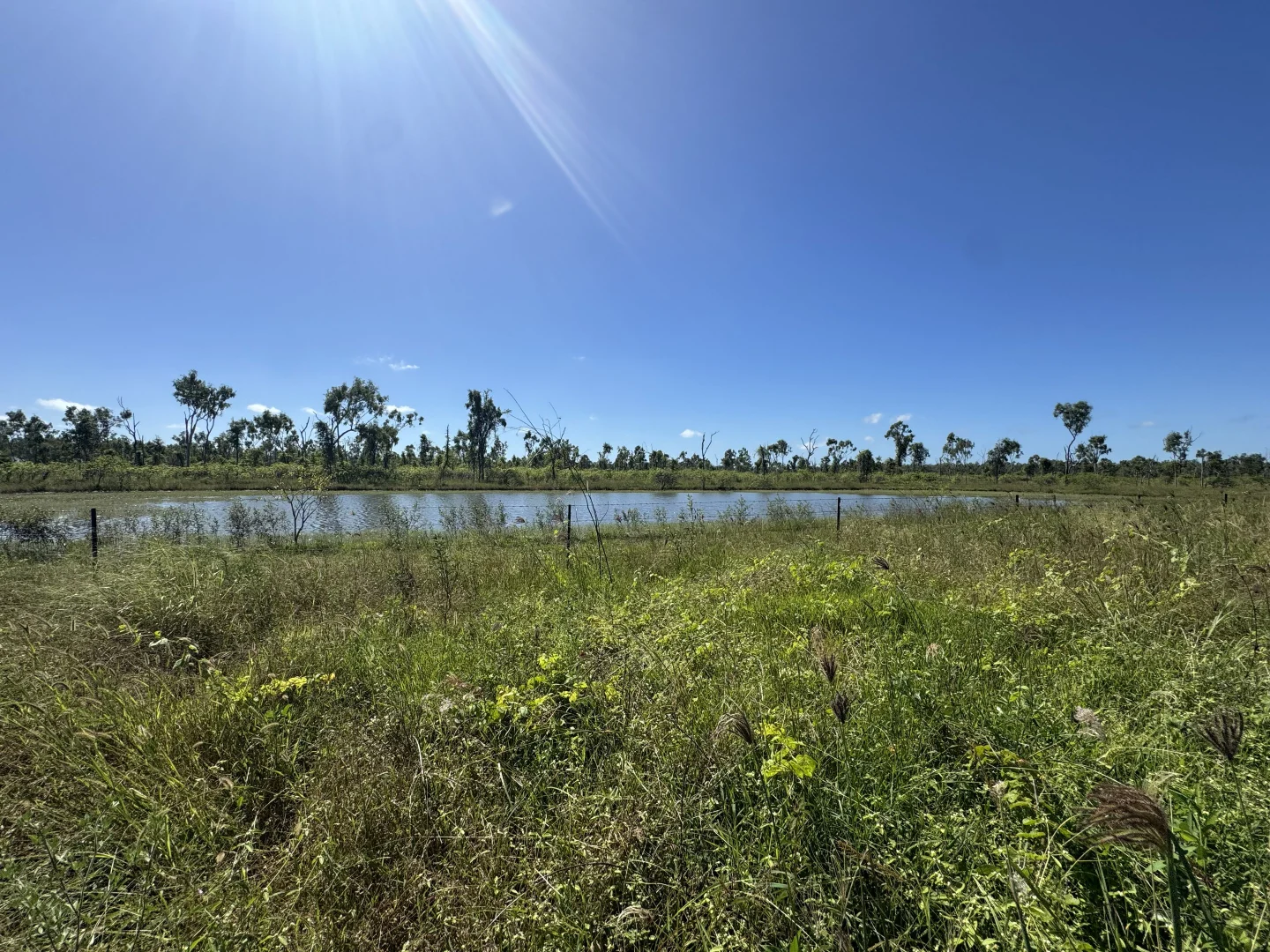 Additional image 14 of 618 Weaver Road, Swans Lagoon QLD 4807