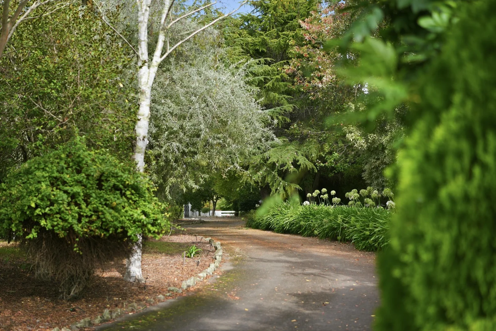 21 Alpine Crescent, Grindelwald TAS 7277 photo 2