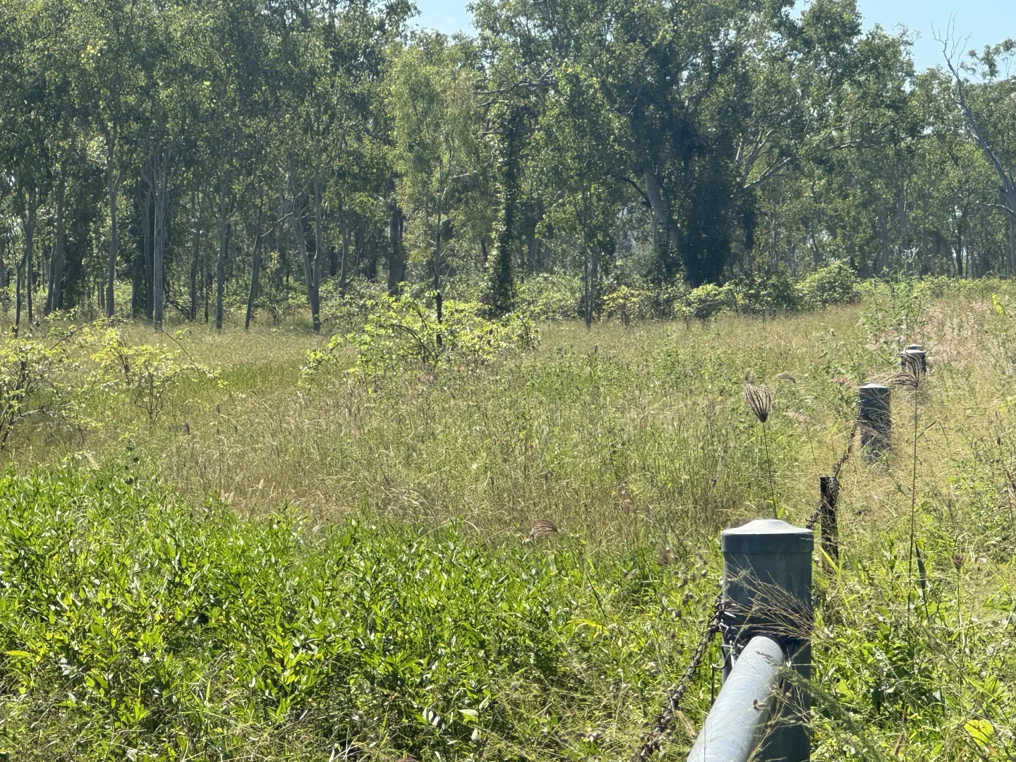 Additional image 13 of 618 Weaver Road, Swans Lagoon QLD 4807