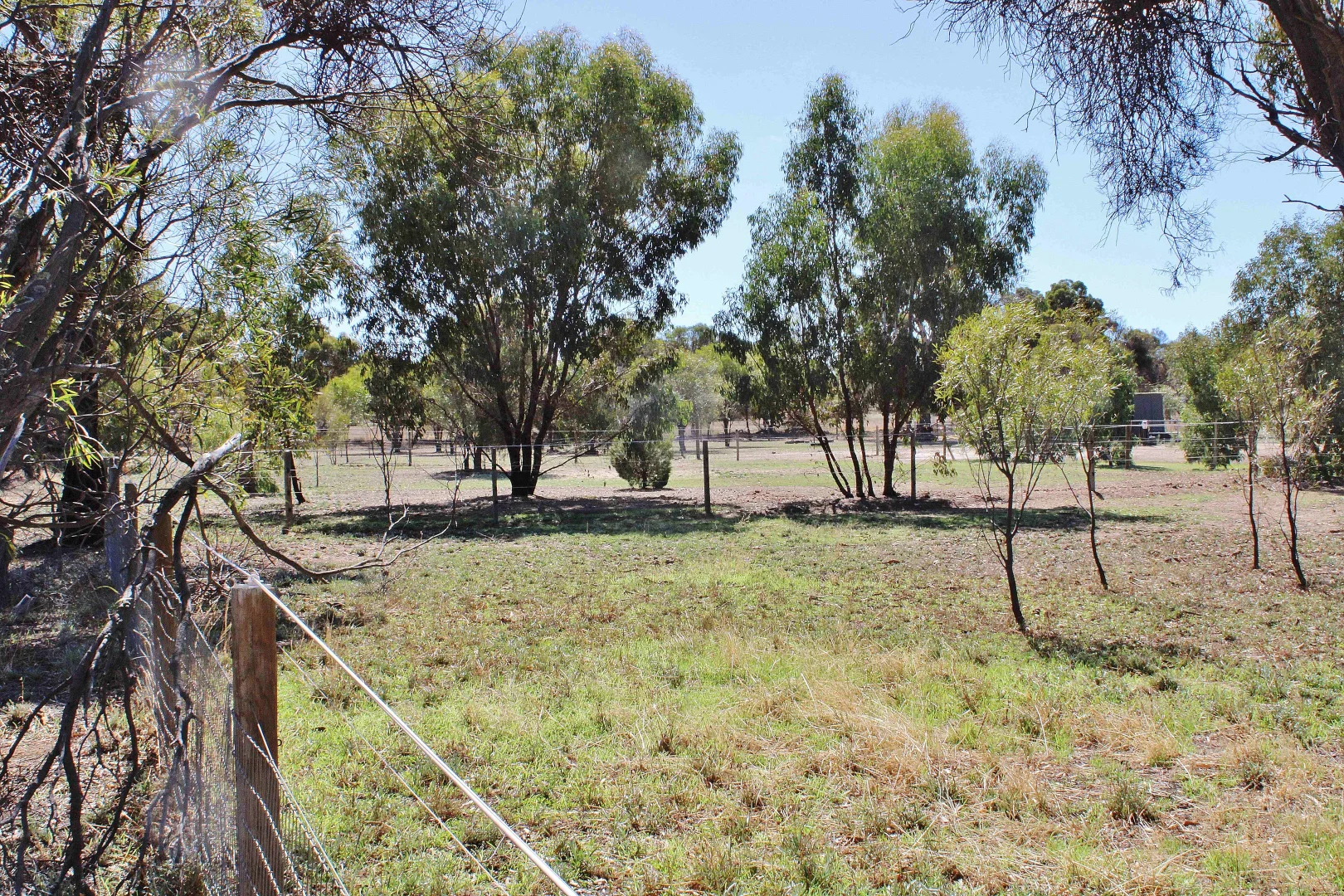 Additional image 5 of 18 COSTELLOE STREET, Wagin WA 6315