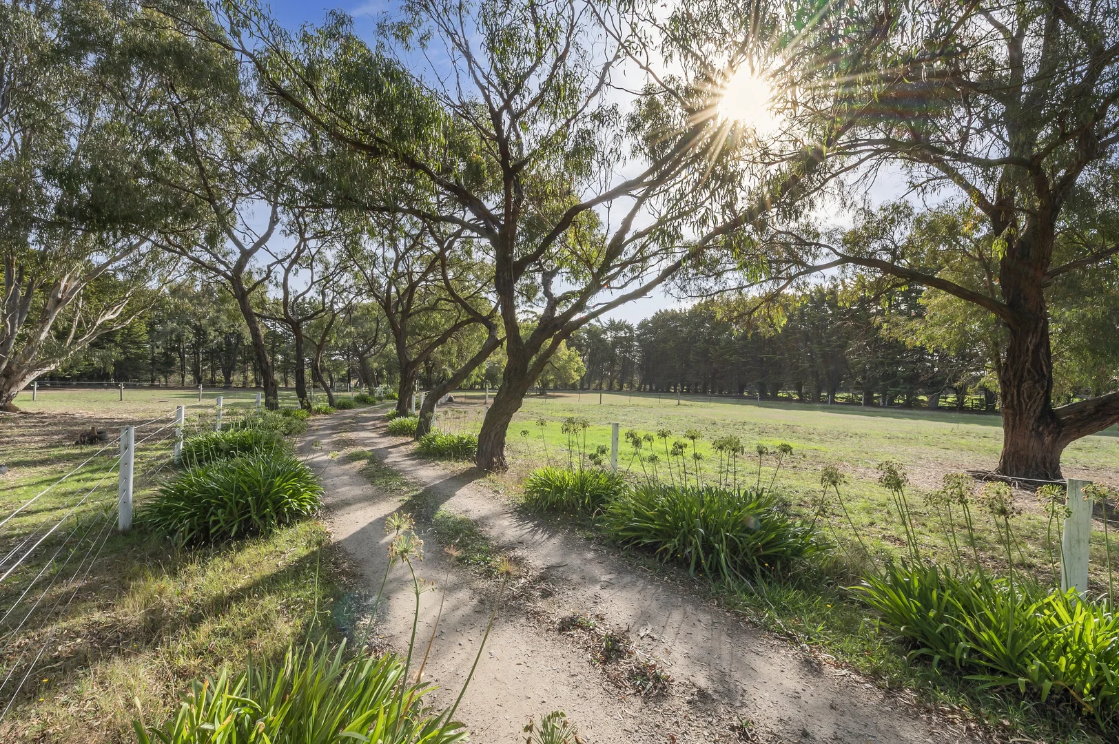 Additional image 3 of 1064 Stumpy Gully Road, Moorooduc VIC 3933