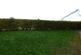 Additional image 31 of Herschell Court, Basildon, SS14