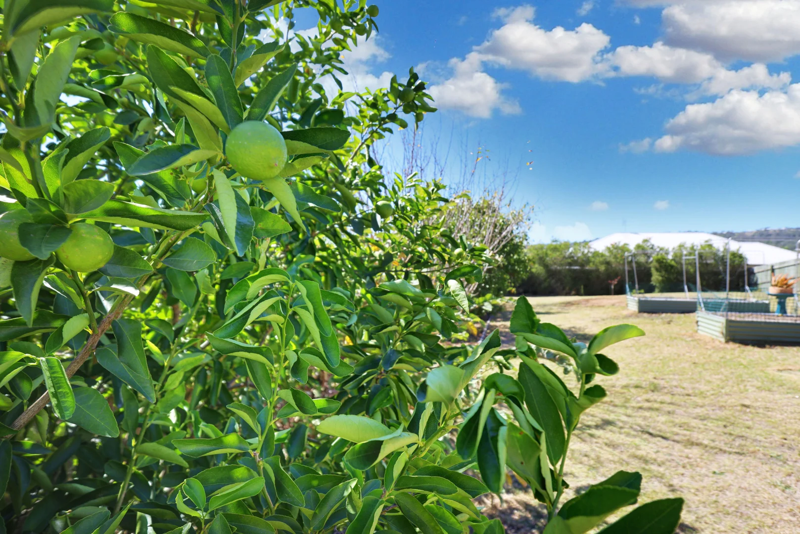 Additional image 19 of 8a Sophia Crescent, Cotswold Hills QLD 4350