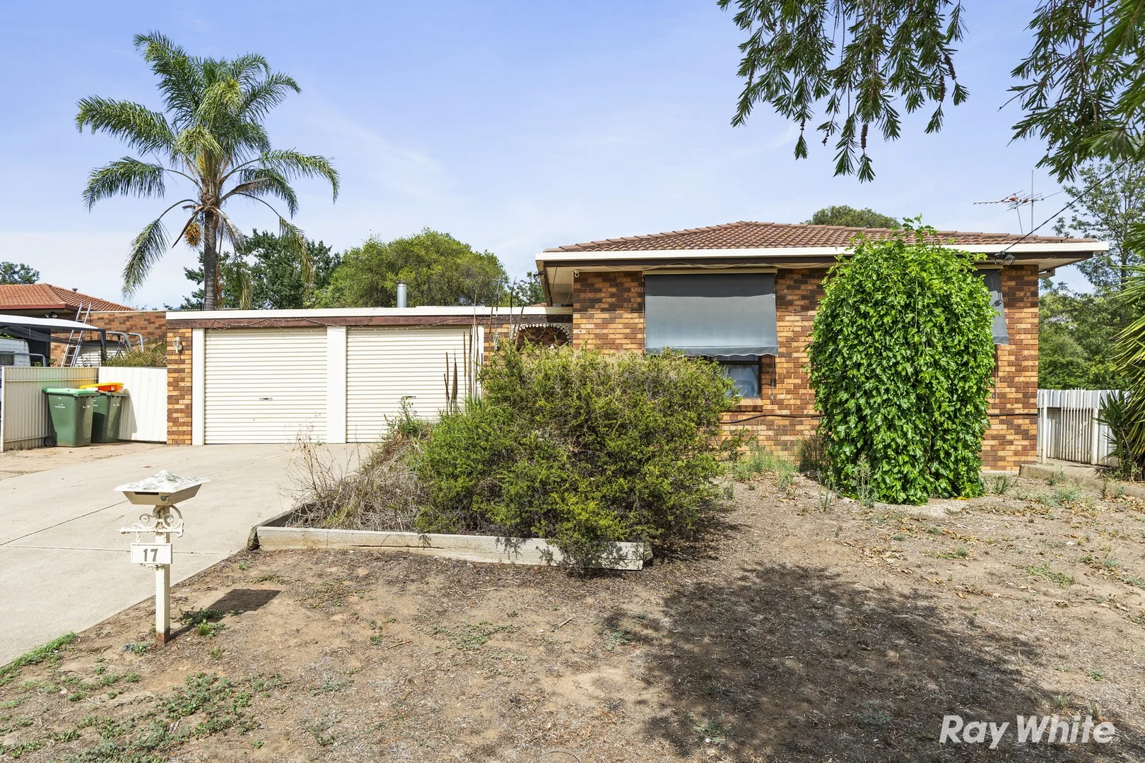 17 Clowes Place, Ashmont NSW 2650