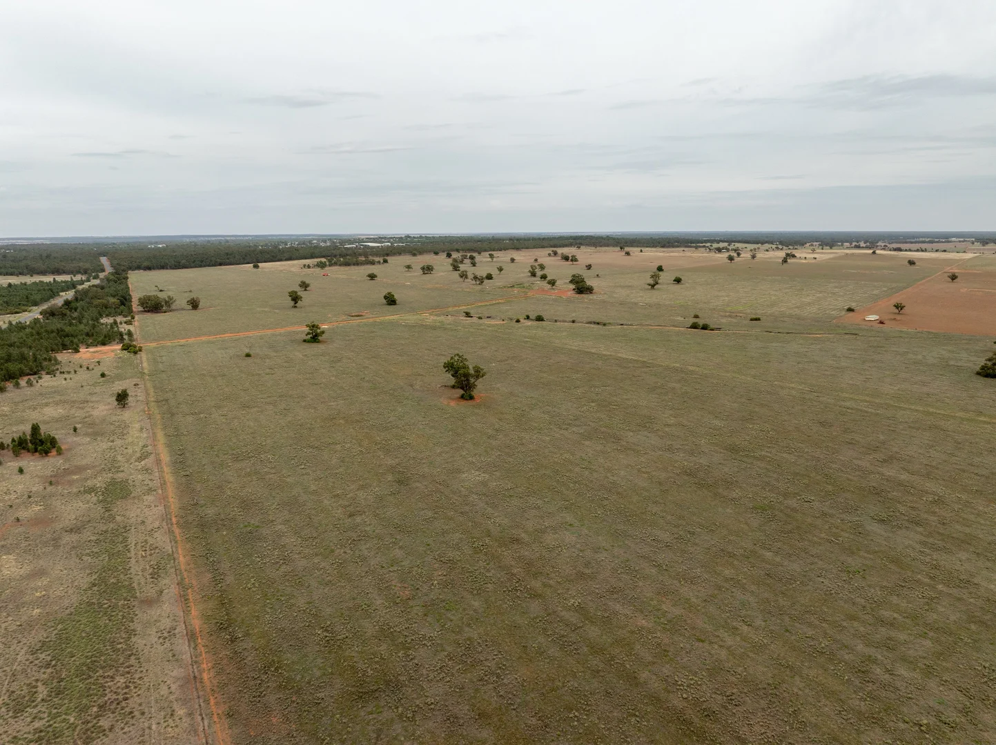 Additional image 8 of Barellan Road, Narrandera NSW 2700