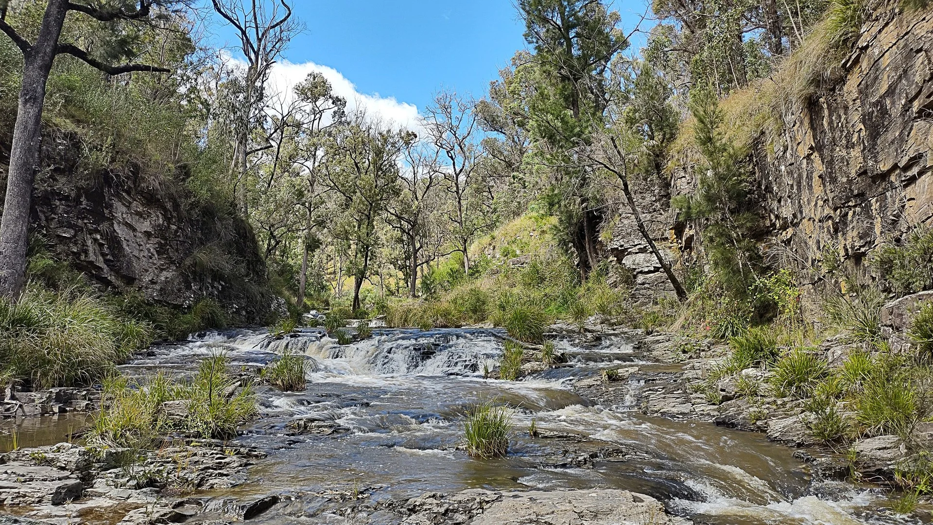307 Blomfield Road, Yarrowitch NSW 2354