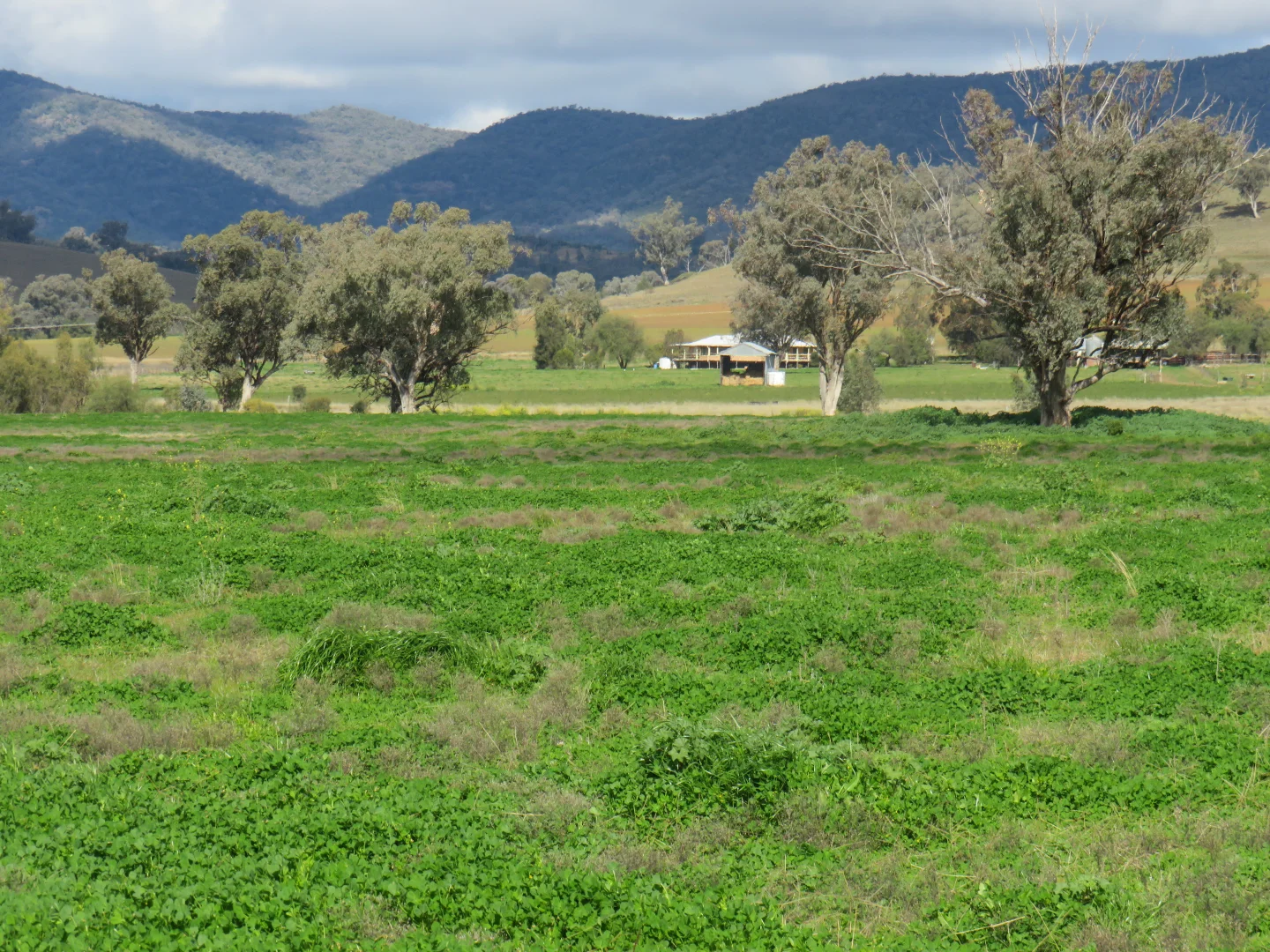 Additional image 29 of "Elstern" 1872 Old Winton Road, Tamworth NSW 2340