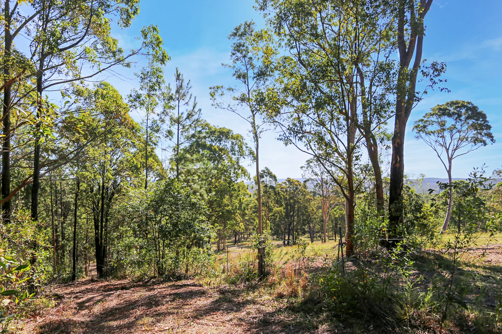 Additional image 10 of Lot 10 Pindimar Road, Pindimar NSW 2324