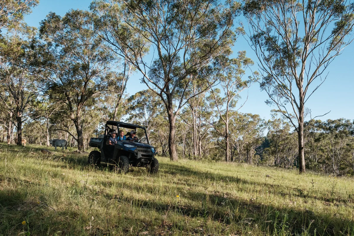 Additional image 19 of 31 & 32 Armstrong Road, West Haldon QLD 4359