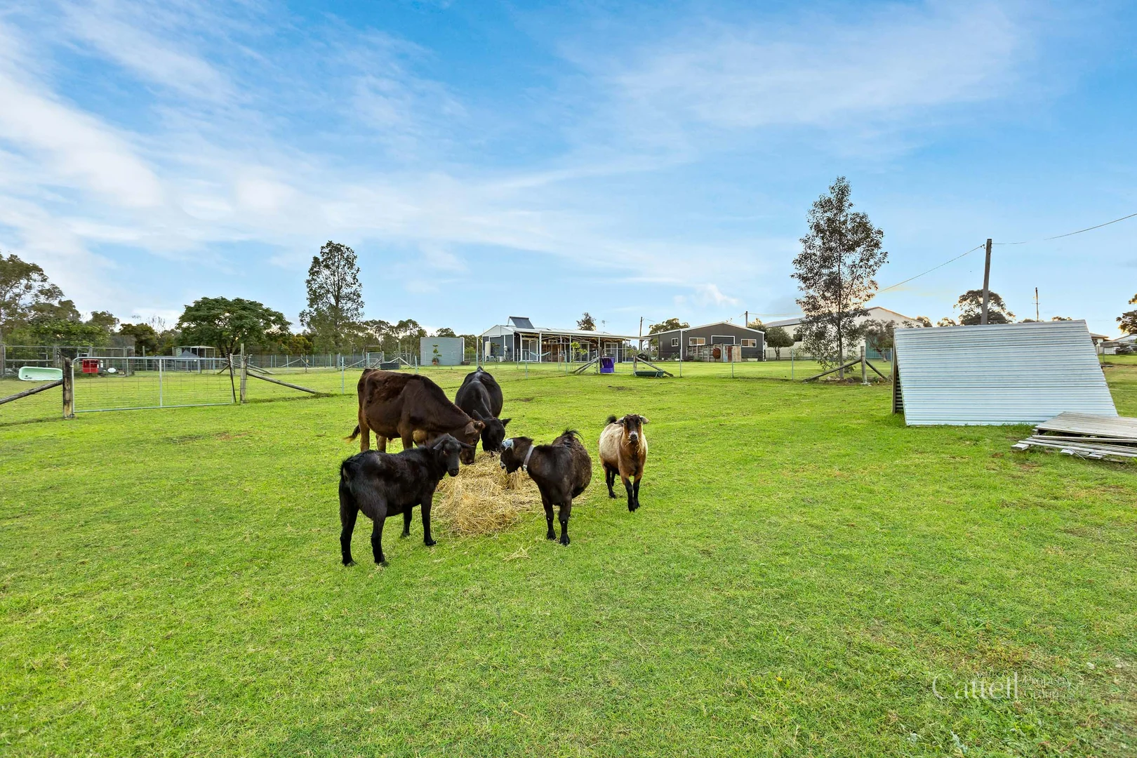 Additional image 51 of 3 York Street, Abermain NSW 2326