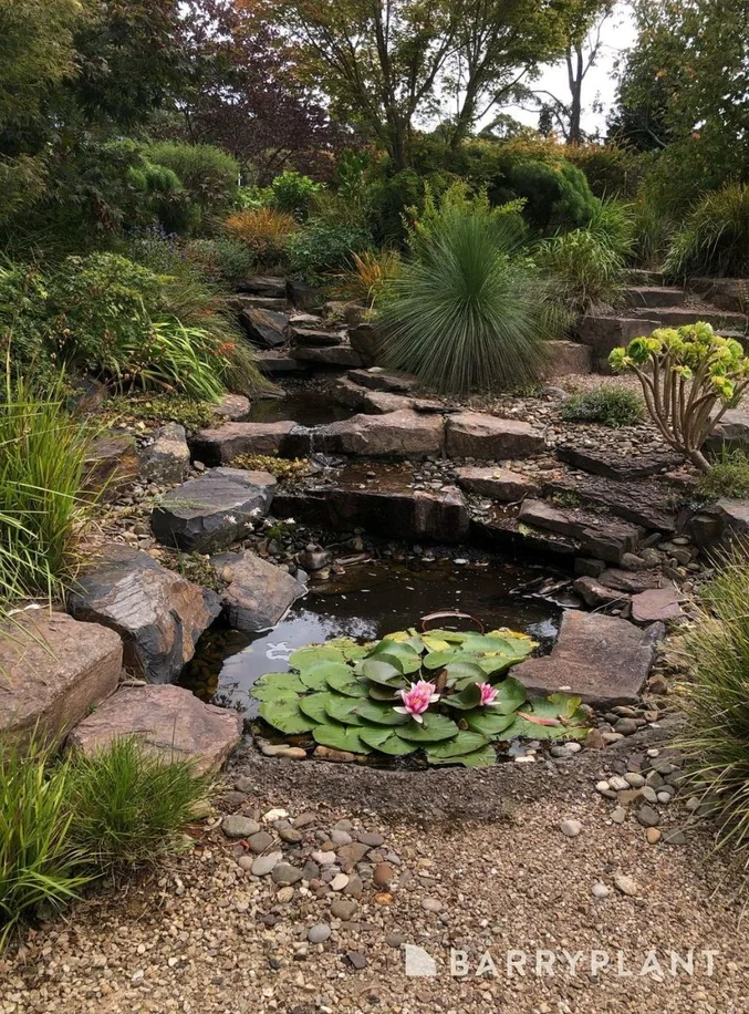 Additional image 21 of 30 Currajong Avenue, Kinglake VIC 3763