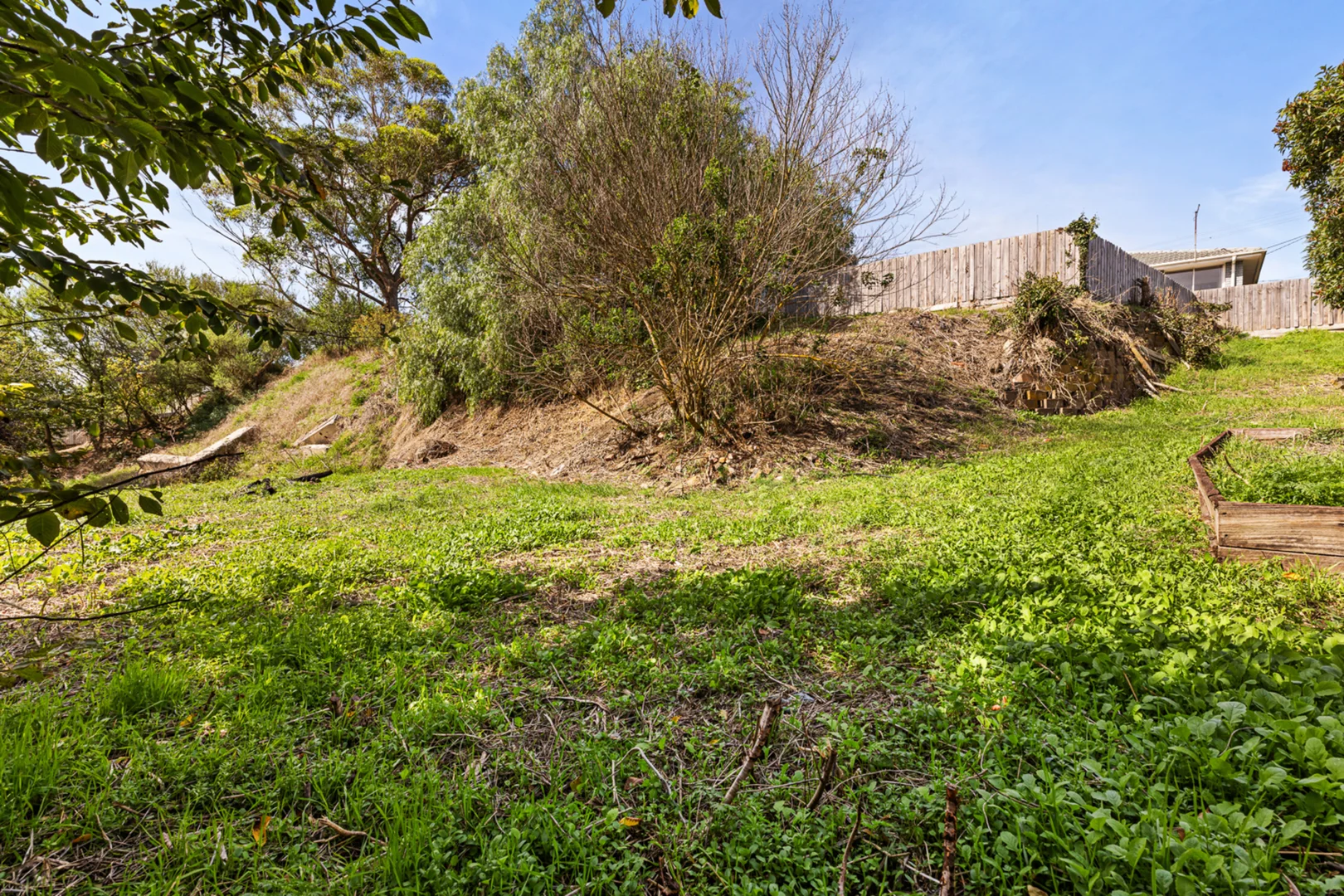 Additional image 12 of 810 Bond Street, Mount Pleasant VIC 3350