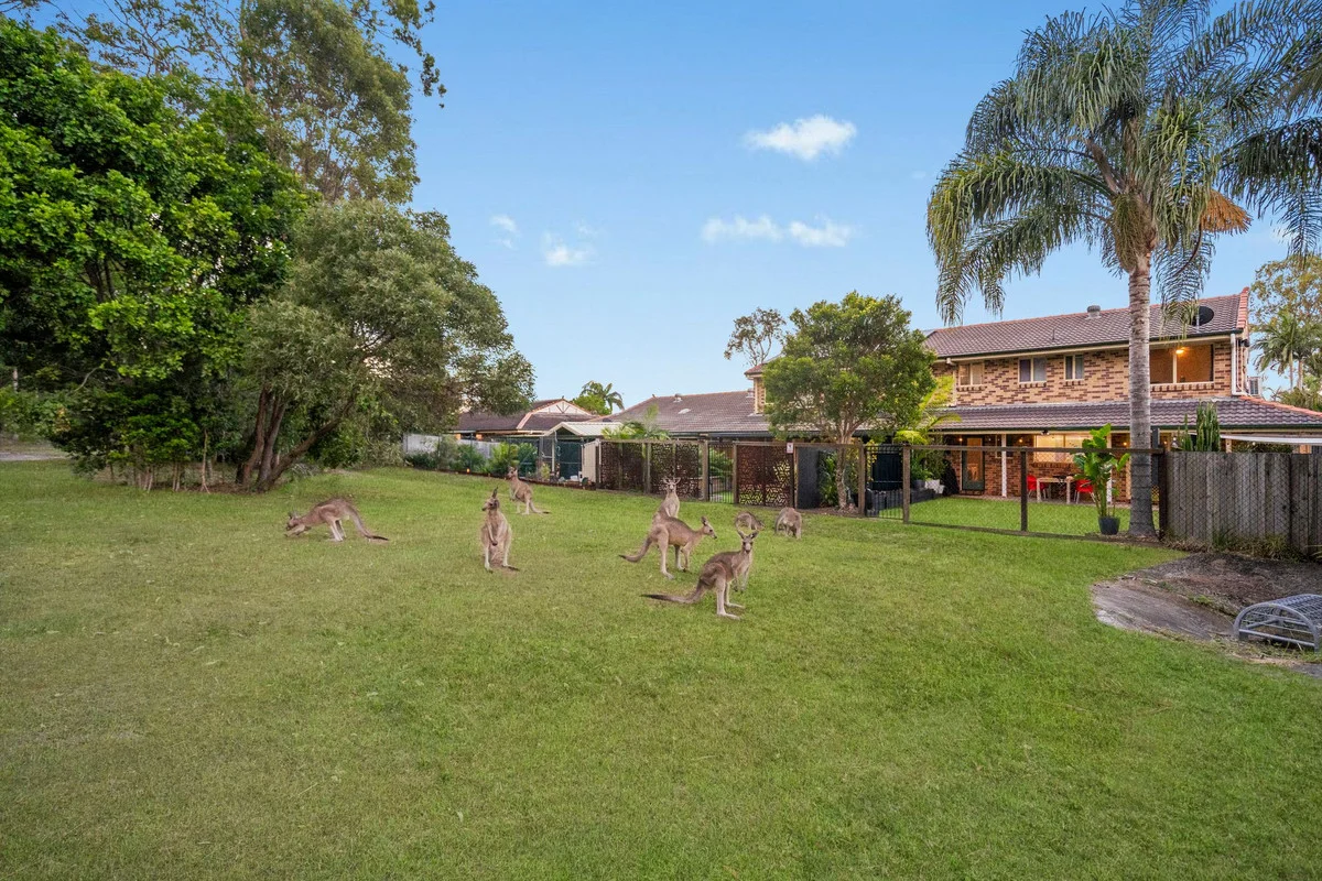 Additional image 7 of 5/402 Pine Ridge Road, Coombabah QLD 4216