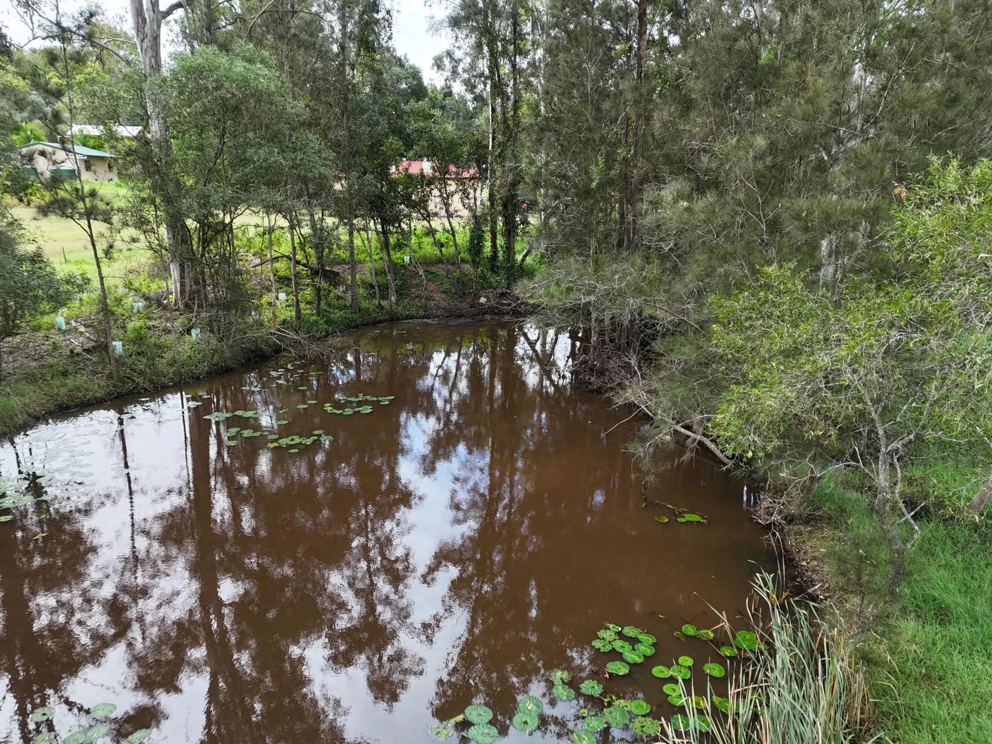 Additional image 5 of 457 Teddington Road, Tinana South QLD 4650