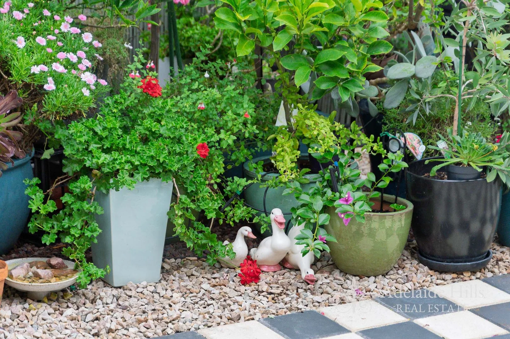 Additional image 14 of 5/4 Queen Street, Mount Barker SA 5251