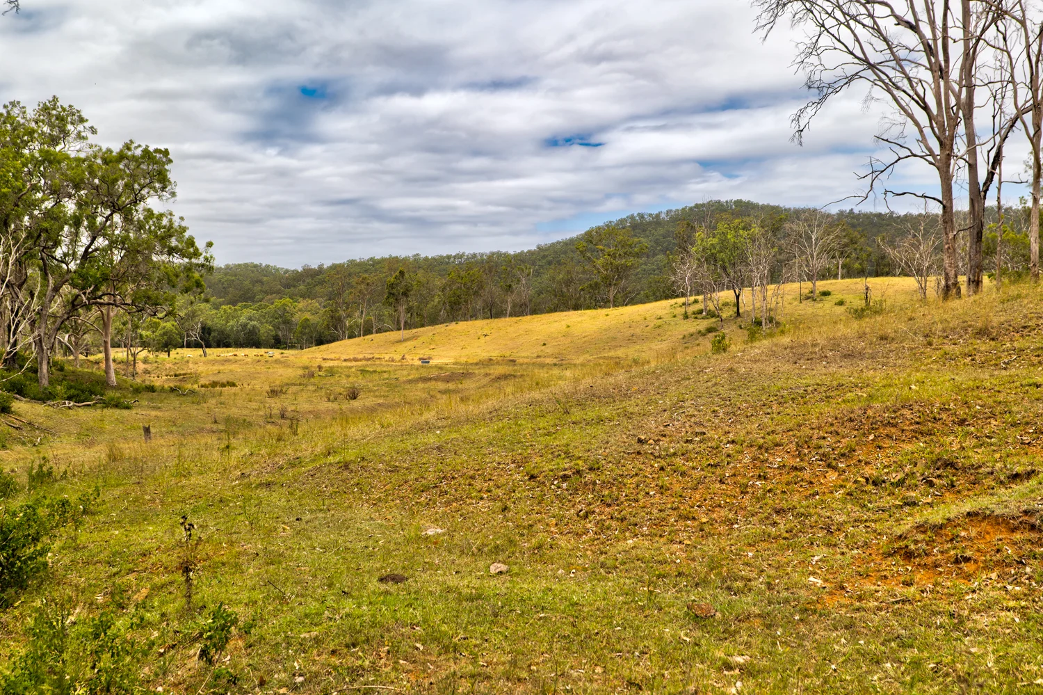 Additional image 4 of 1706 ESK CROWS NEST RD, Biarra QLD 4313