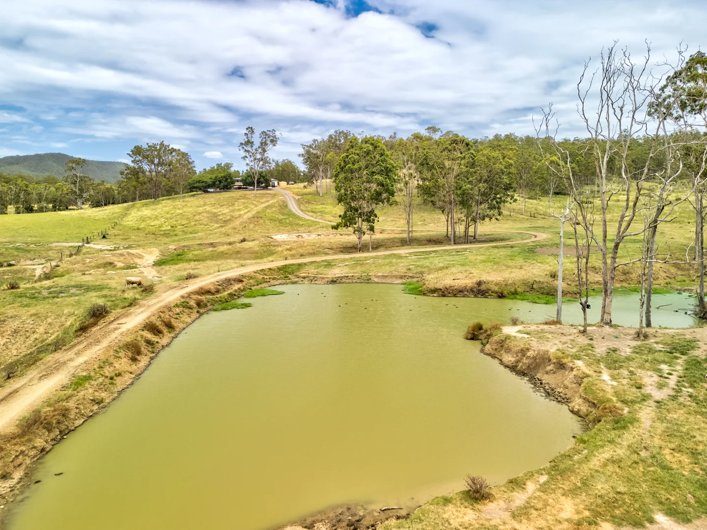 Additional image 29 of 1706 ESK CROWS NEST RD, Biarra QLD 4313