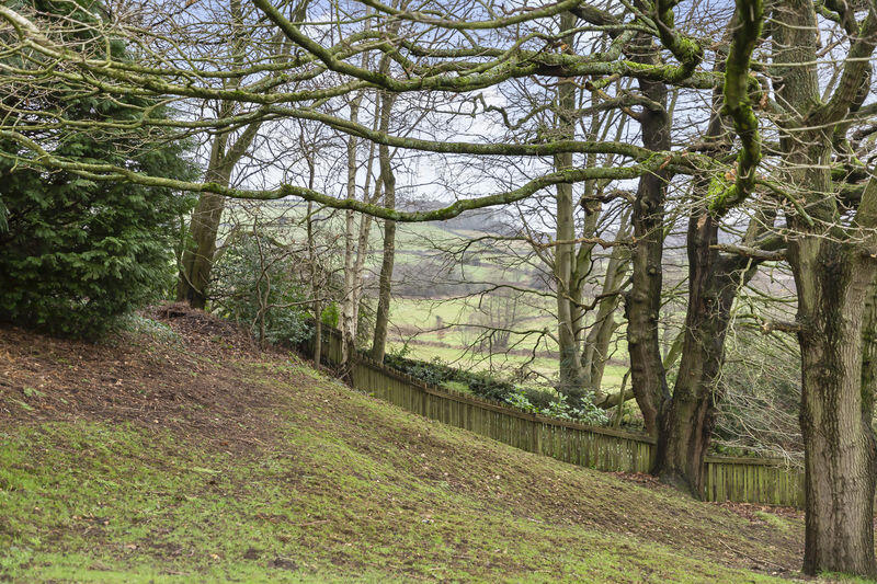 Additional image 33 of Long Lane, Harden