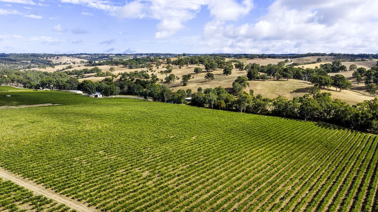 Additional image 23 of 49 Chapel Hill Road, Kangarilla SA 5157