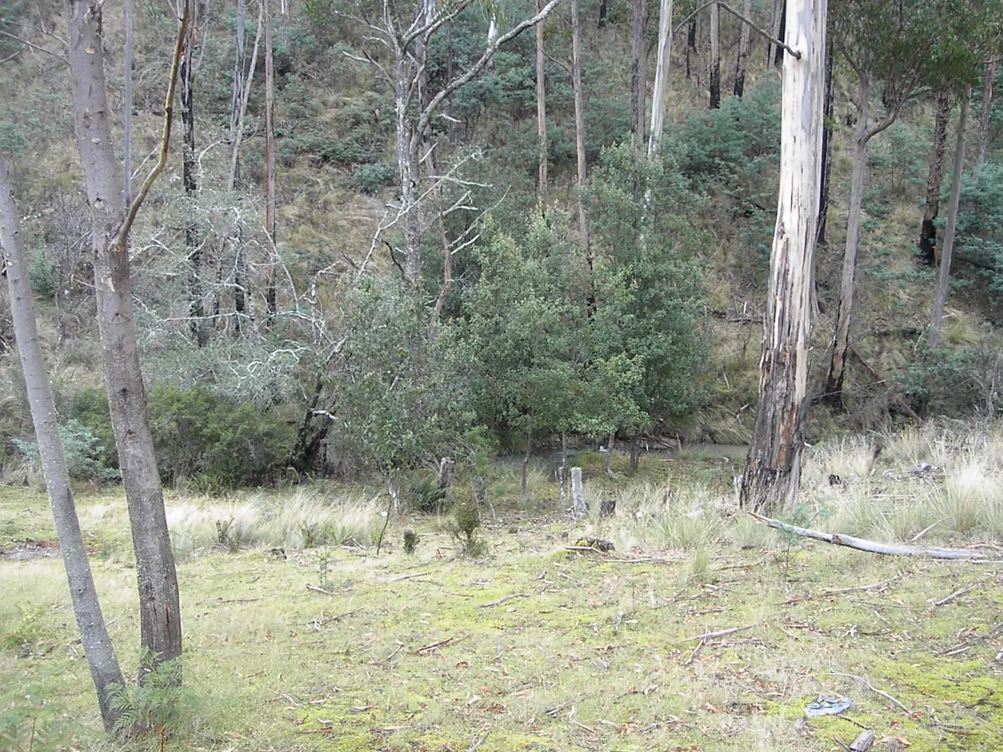 Additional image 11 of 420 Springhill Bottom Road, Colebrook TAS 7027