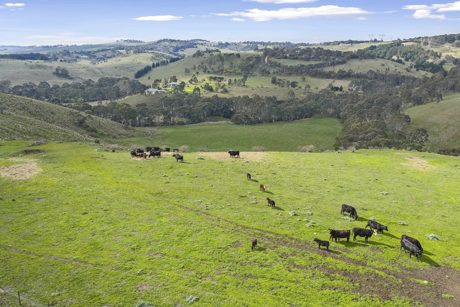 Additional image 16 of 190 Konagaderra Road, Oaklands Junction VIC 3063