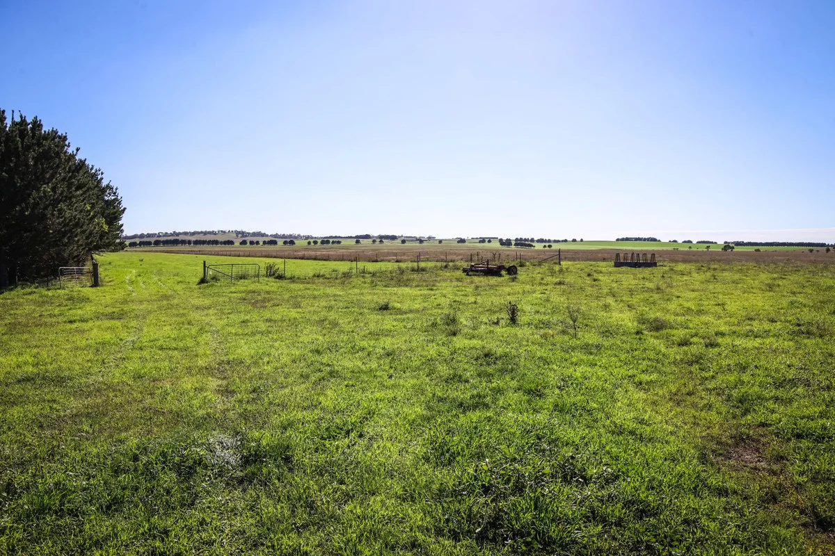 1790 Braidwood Road, Tarago NSW 2580