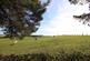 Additional image 30 of New County View, Hett Hills, Chester Le Street