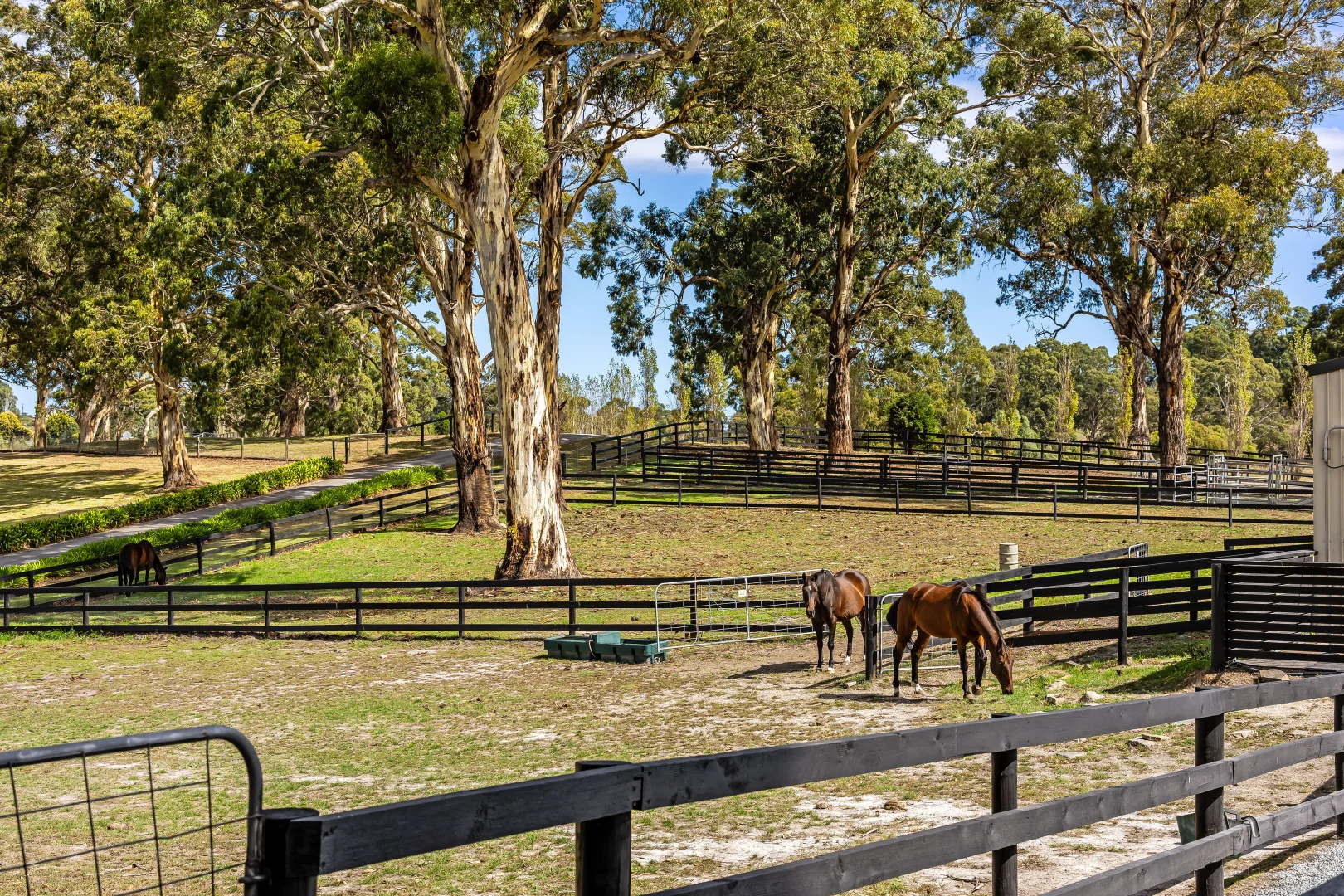 Additional image 31 of 444 Hawthorn Road, Echunga SA 5153
