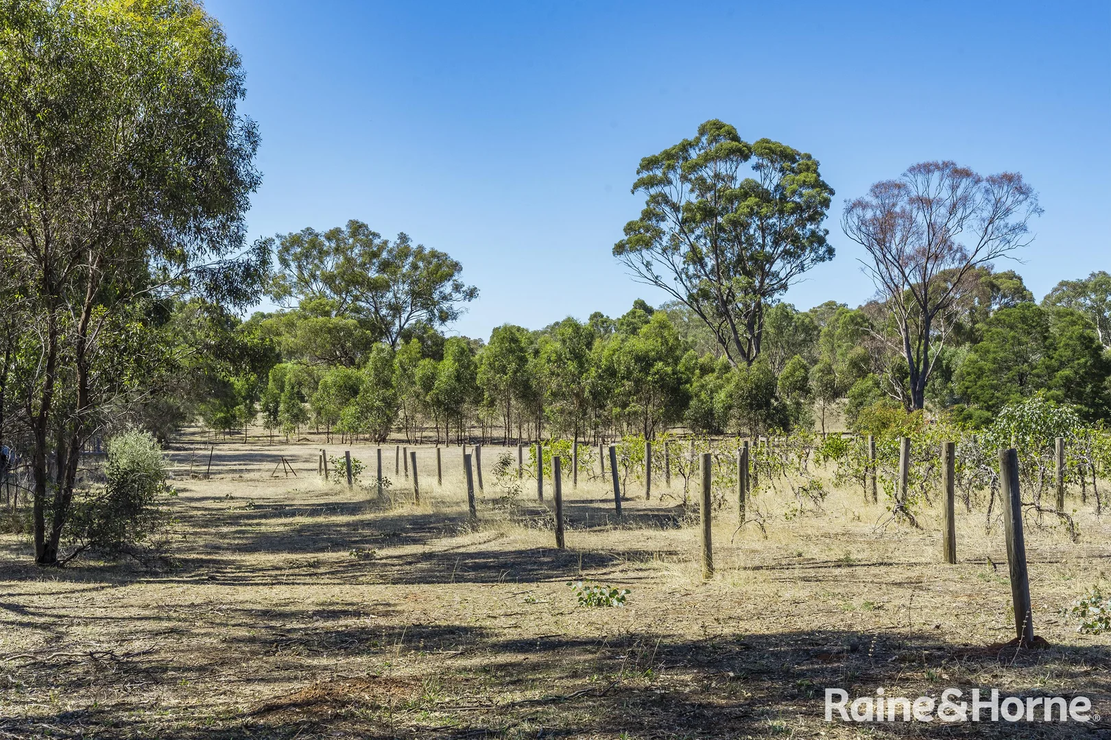 Additional image 36 of 1000 Northern Highway, Ladys Pass VIC 3523