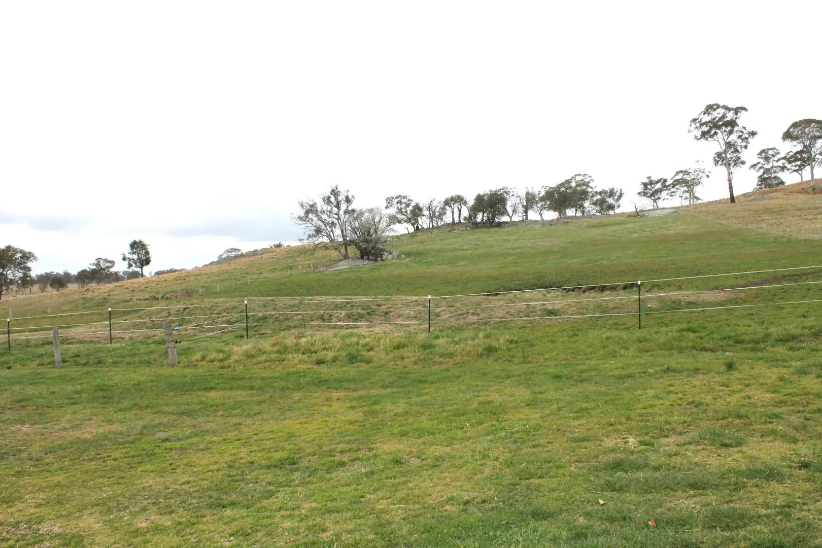 Additional image 13 of 1672 Red Range Road, Glen Innes NSW 2370