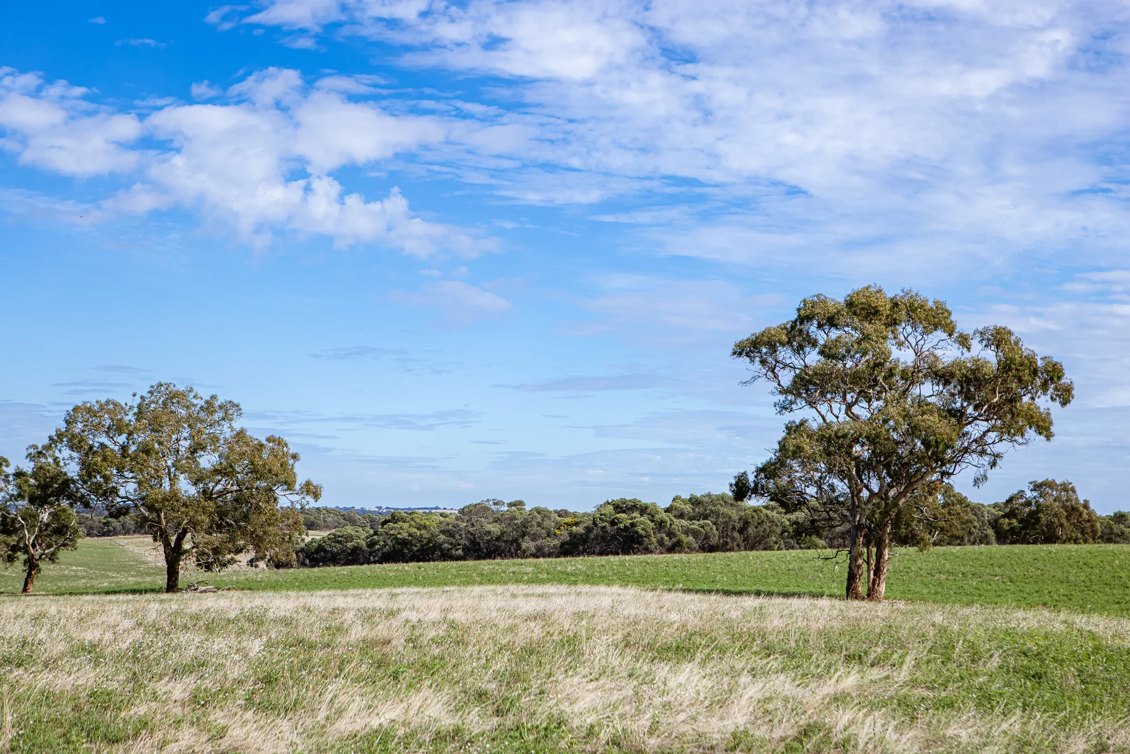 Additional image 23 of 1089 Pedericks Road, Lochaber SA 5271