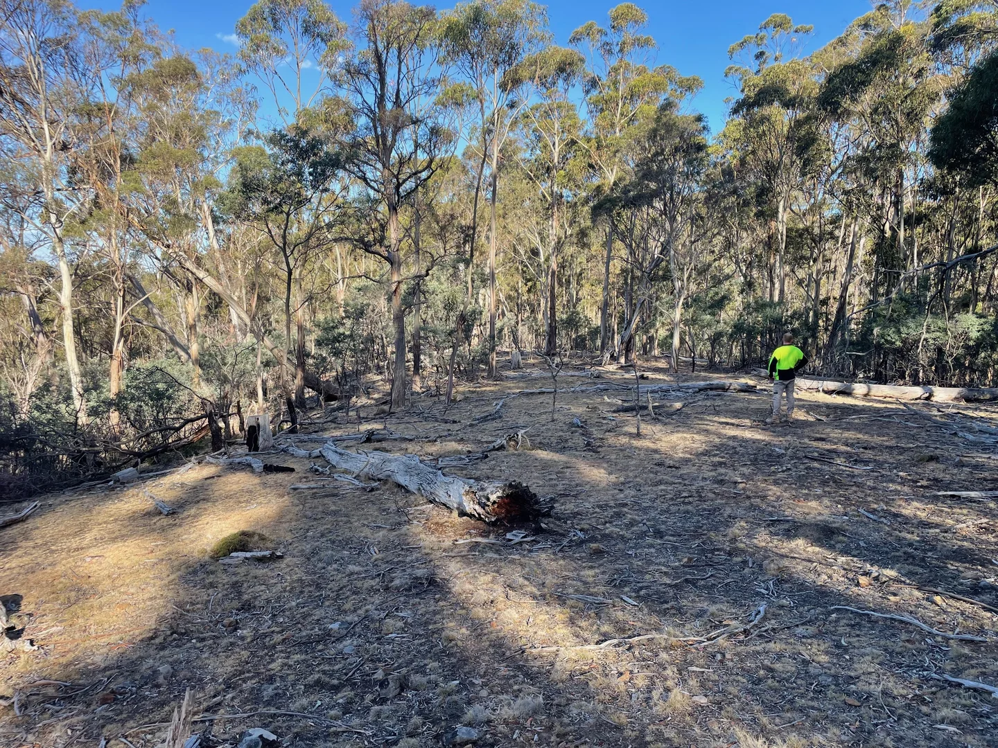 Additional image 18 of 420 Springhill Bottom Road, Colebrook TAS 7027