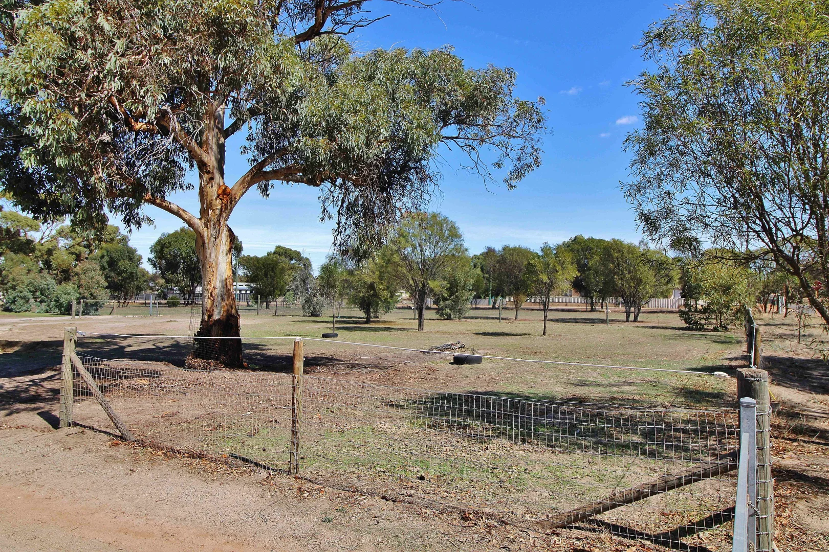 Additional image 8 of 18 COSTELLOE STREET, Wagin WA 6315