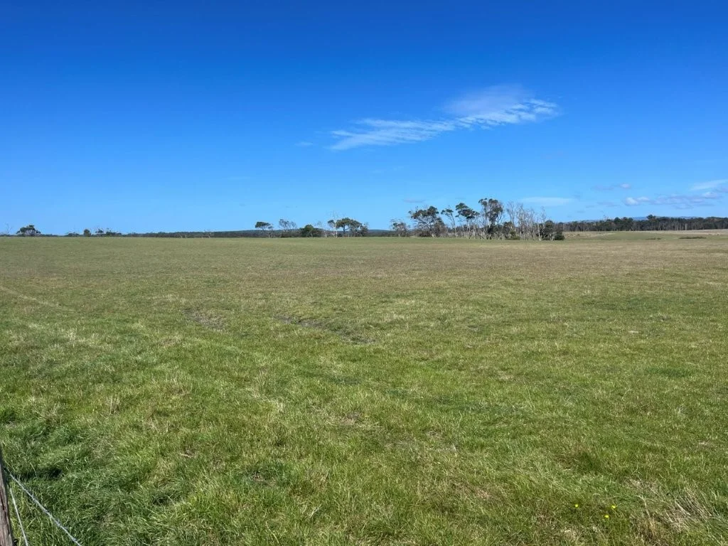 Additional image 17 of 559 North Ansons Road, Gladstone TAS 7264