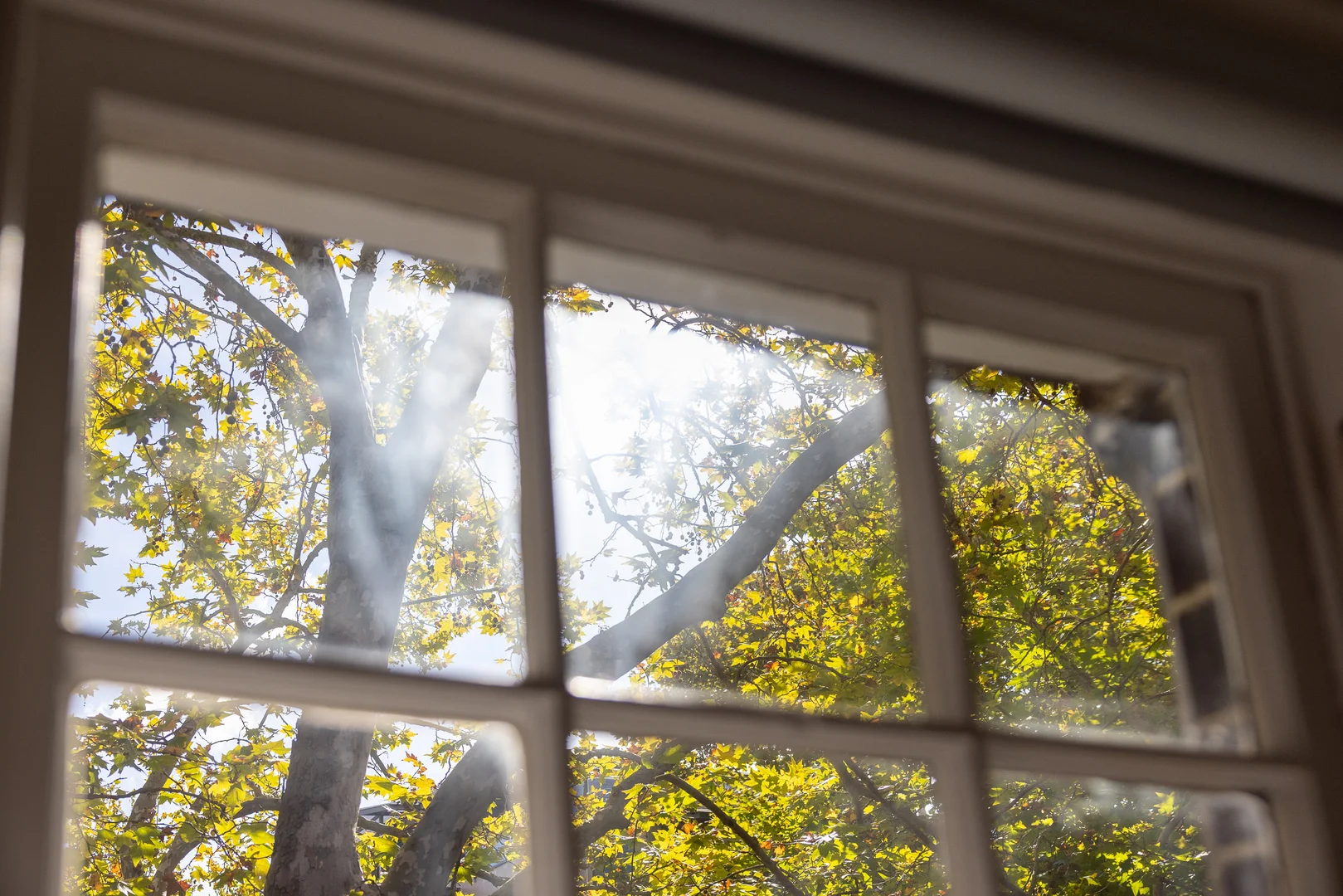 Additional image 6 of 9/2B Tusculum Street, Potts Point NSW 2011